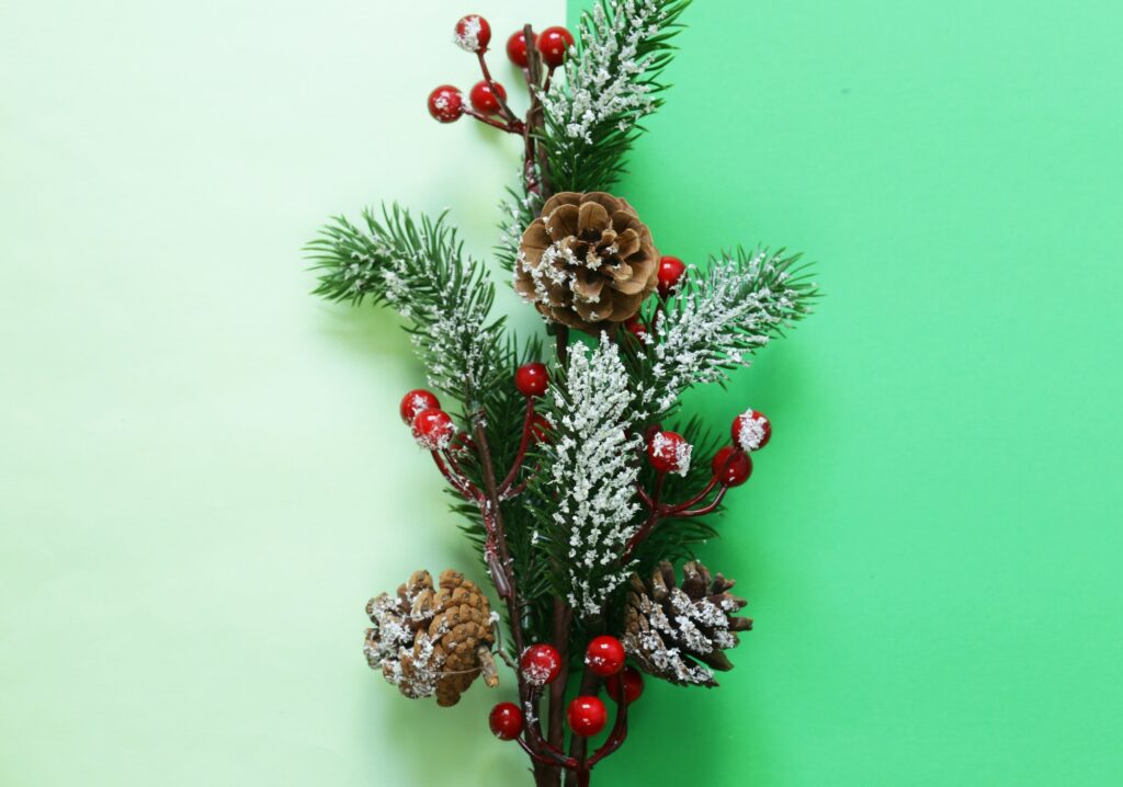 Christmas Holidays