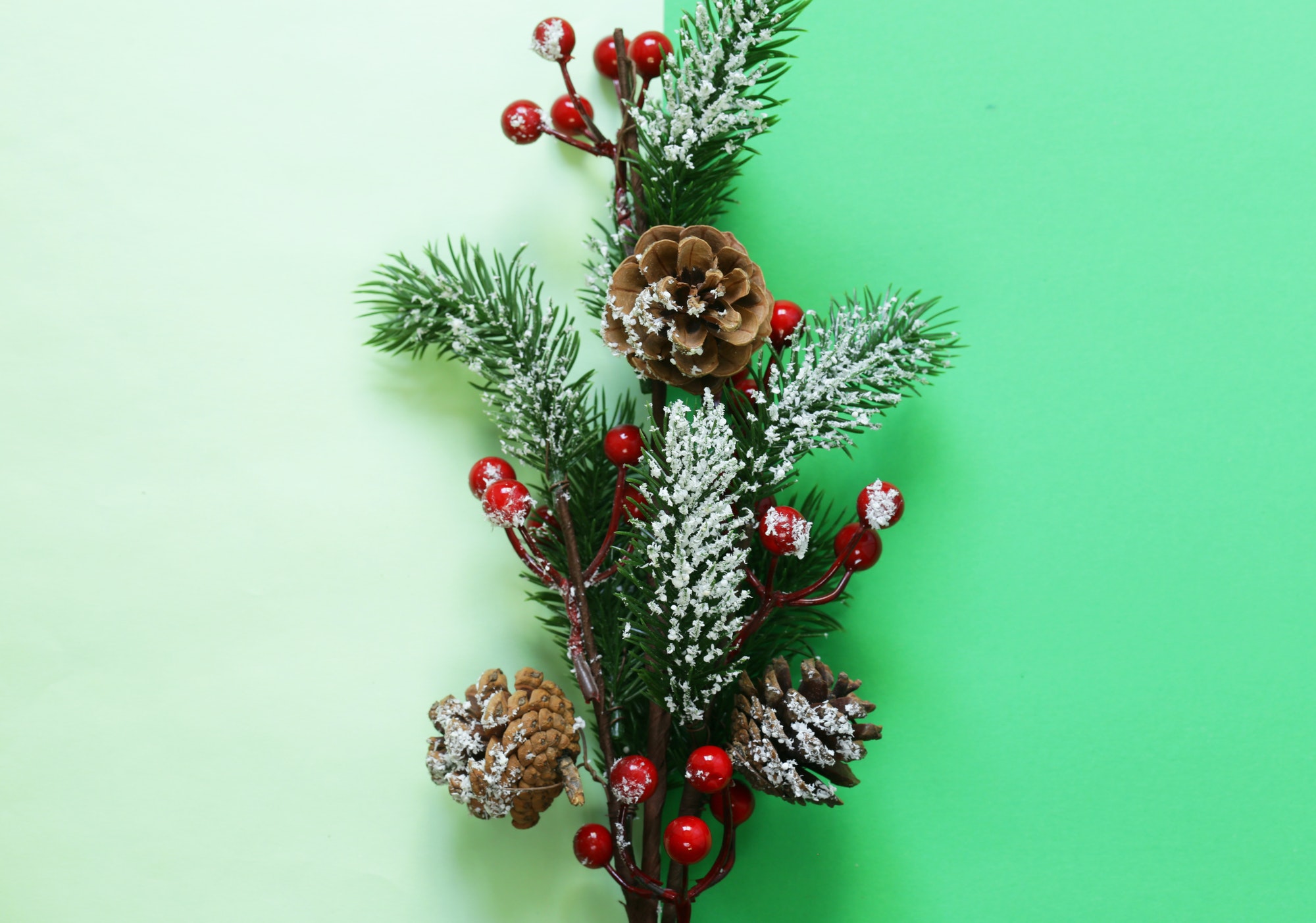 Read more about the article Christmas Holidays